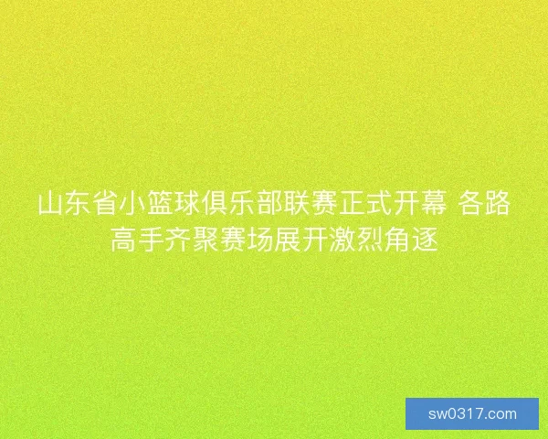 山东省小篮球俱乐部联赛正式开幕 各路高手齐聚赛场展开激烈角逐